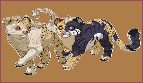 Uncovering Sibling Dynamics And On-Screen Magic